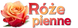 roze-pienne